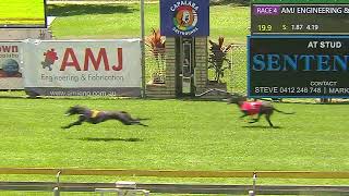 CapalabaWednesday23102024Race4 [upl. by Klockau]