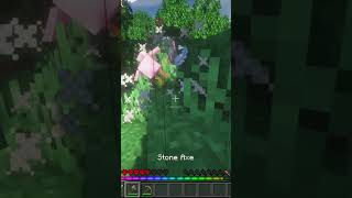 Minecraft Hardcore  Day 1 [upl. by Paxton819]