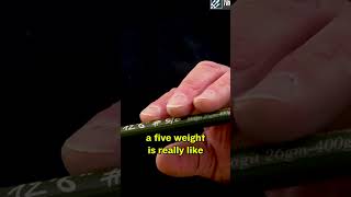 Spey Line Weight vs Single Hand fishing fishingequipment flyfish flyrod flyrods [upl. by Verger]