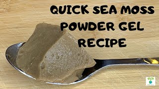 Quick Sea Moss Powder Gel Recipe  SCIPHER LIVING [upl. by Leva]