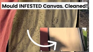 Cleaned it Mould Infestation in Heavy Duty Camper Trailer Canvas [upl. by Nyleahcim]