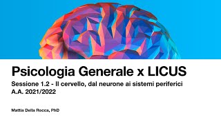 Dal neurone alla sinapsi Psicologia Generale x LICUS 20212022 [upl. by Asiole]