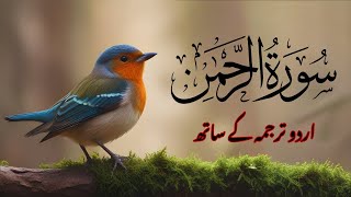 Surah Rehman Full  Qari Abdul Basit  Surah Rehman Ki Tilawat  Surah Rehman By Qari Basit 007 [upl. by Amelus]