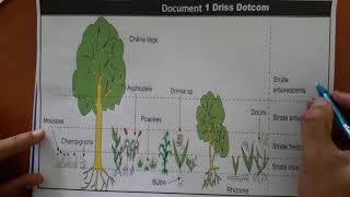 La Sortie écologique Sciences de la Vie et de la Terre SVT TCS BIOF Partie 1  continuité [upl. by Akfir273]