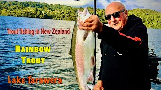 LAKE TARAWERA 7 Pounder RAINBOW Landed in NZ Ep 205 [upl. by Aicenav]