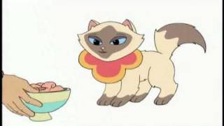 Sagwa The Chinese Siamese Cat What About You Segment 2 [upl. by Anelys]