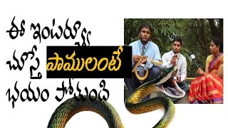 You Should Know Snakes Myths and Facts before you Die [upl. by Marsh]