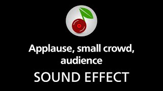 🎧 Applause small crowd audience SOUND EFFECT [upl. by Aniroz]