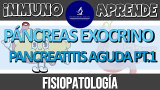 Pancreatitis Aguda Parte 1  Fisiología del páncreas exócrino  Fisiopatología de la pancreatitis [upl. by Mylander82]