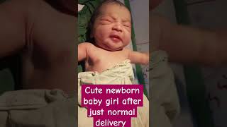 cute newborn baby girl after just normal delivery lo baby cute cutebaby newborn babygirl [upl. by Habas]