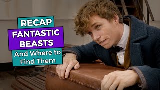 Fantastic Beasts and Where to Find Them RECAP [upl. by Merriman256]