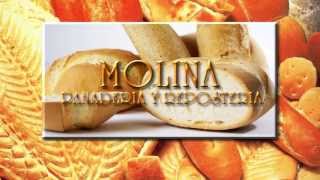 MOLINA PANADERIA Y REPOSTERIA [upl. by Lambertson]