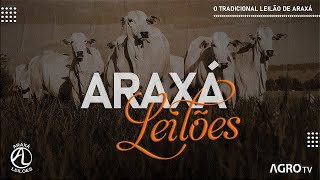 ARAXÁ LEILÕES AO VIVO  ARAXÁ MG [upl. by Okram]