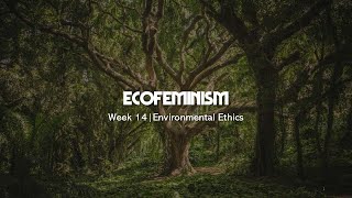 Environmental Ethics  Plumwoods Ecofeminism [upl. by Ymij]