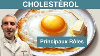 Hormones CoQ10 cerveau vitamine D cellules  Pourquoi le cholestérol est indispensable à la vie [upl. by Enrobialc415]