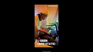 DJ SEEN RIPE STATE MIX 2 RIPE STATE「胡蝶 Butterfly effect」 [upl. by Ginzburg]