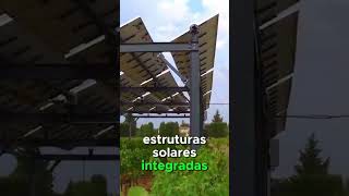 AGRICOVOLTAICA A COMBINAÇÃO PERFEITA DA ENERGIA SOLAR COM A AGRICULTURA [upl. by Mahtal]