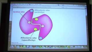 40 Biochemistry Nucleotide Metabolism II Lecture for Kevin Aherns BB 451551 [upl. by Attenauq]