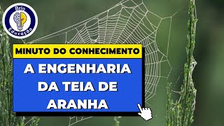 A Engenharia da Teia de Aranha  Brio Educação [upl. by Gerhard]