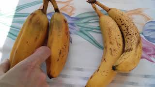 Seven Different Types of Bananas  Baby Manzano Thai Red Burro Plantain Cavendish [upl. by Bigelow]