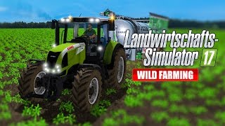 LANDWIRTSCHAFTSSIMULATOR 17 48 Sonnenblumenernte LS17 Multiplayer Wild Farming [upl. by Rashida]