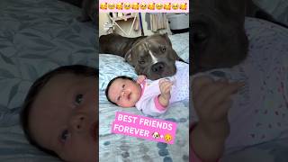 😍Dogs love children ❤️🐶 doglover dog dogs doglovers shortsvideo short fypシ゚viral [upl. by Furr]