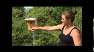 How to Put Up a Nest Box [upl. by Narual]