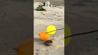 रसेल वाईपर सांप का गुब्बारे पर जोरदार हमला 😱🐍Russell Viper snake attacks balloon fiercely [upl. by Aryad]