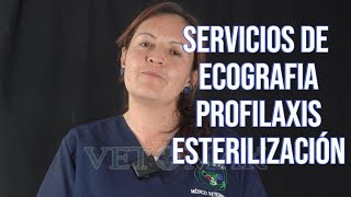 Ya conoces nuestra promoción de esterilización y profilaxis esterilización perros gatos [upl. by Nezah404]