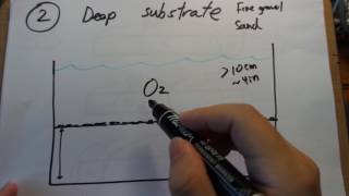 How to build a no water change tank part3 ways to make anoxic zones for denitrification [upl. by Enneibaf346]