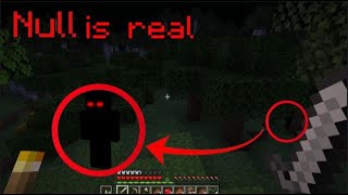 MINECRAFT CREEPYPASTA Null [upl. by Lusty]