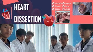 GROUP 3 HEART OBSERVATION BIOLOGY EXPERIMENT [upl. by Zadack]