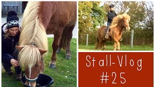 Reiten  Unterricht auf der Bahn Winterbeschlag Sattelpflege amp EURE Fragen  StallVlog 25 [upl. by Chally]