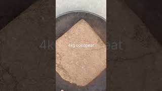 Cocopeat ko use karne ka sabse sahi tarika  shortsfeed shorts [upl. by Patnode]