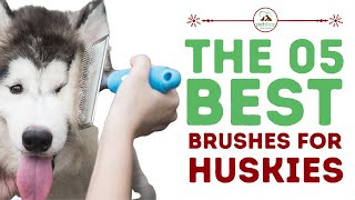 The Best Brushes for Huskies [upl. by Gale382]