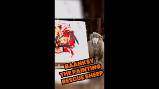 Baanksy The Painting Rescue Sheep 🐑🎨  PAWSOME PETS [upl. by Fern]