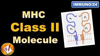 PEPTIDE BONDPeptidaseEndopeptidaseExopeptidaseCSIRNETGATEDBTICMRJAMBiochemistryLecture 3 [upl. by Anrev]