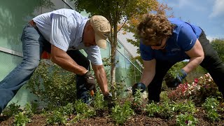 Planting Wave Pansies and Snapdragons – Family Plot [upl. by Wordoow786]