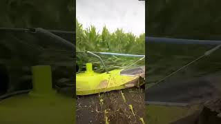 Gigantic crop harvesting machine shorts amazing machine [upl. by Ennail]