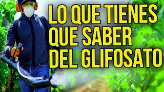 GLIFOSATOUSO  APLICACION DOSIS RECOMENDACIONES [upl. by Desiree778]