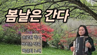 분당아코디언 지채영 ㅡ 봄날은 간다 백설희 [upl. by Greta]