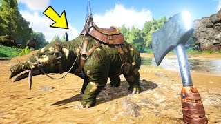 I Started Farming And Tamed A Phiomia  ARK Survival Evolved  Part 25 [upl. by Elisabet20]