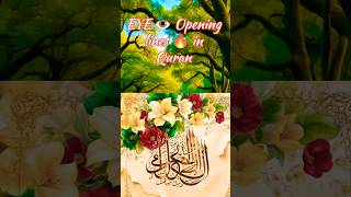 Eye 👁️ opening lines ✨ of Quran ✨shorts yotubeshorts quran islamicvideo islam muslimjahannam [upl. by Leonor]