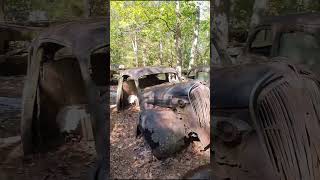 SO MANY cars  Huge Junkyard shorts abandoned fyp viralvideo [upl. by Akkin]