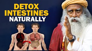 🔴 How to Reset the Gut Detox Your Intestines  7 Tips  Clean Colon  Sadhguru [upl. by Jordison869]