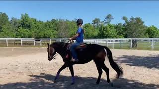 4H Western Horsemanship Pattern with Judges Feedback [upl. by Thacher896]