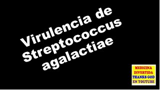 Virulencia de streptococcus agalactiae [upl. by Picco]