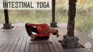 Yoga for Intestinal Health Alkalize open level [upl. by Anitak]