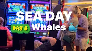 SEA DAY Whales at breakfast SOLO cruise MS Rotterdam Transatlantic Repositioning Cruise [upl. by Acinelav445]