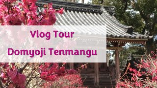 Vlog Tour  Domyoji Tenmangu amp Floração das Ameixeiras [upl. by Ynnavoig]